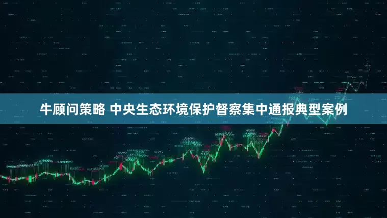 牛顾问策略 中央生态环境保护督察集中通报典型案例
