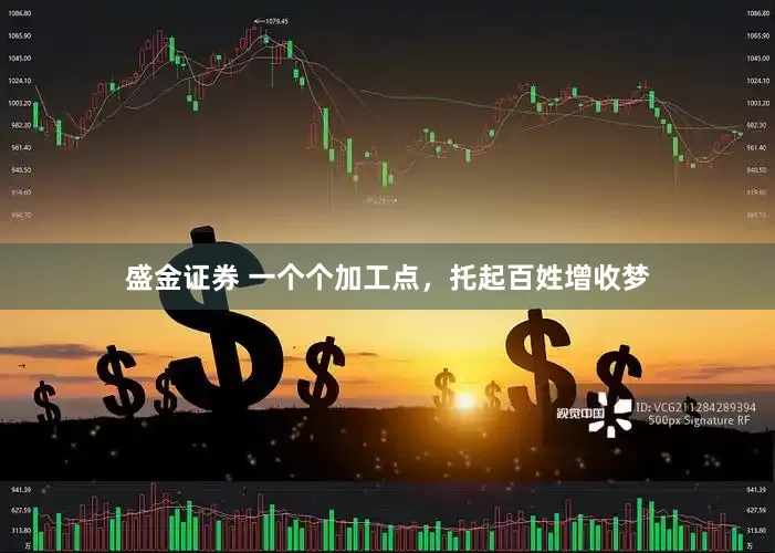 盛金证券 一个个加工点，托起百姓增收梦