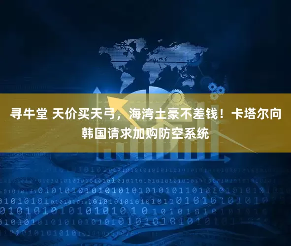 寻牛堂 天价买天弓，海湾土豪不差钱！卡塔尔向韩国请求加购防空系统