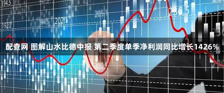 配查网 图解山水比德中报 第二季度单季净利润同比增长1426%